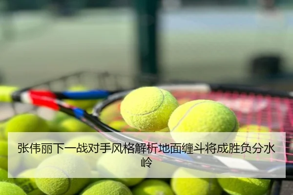 张伟丽下一战对手风格解析地面缠斗将成胜负分水岭