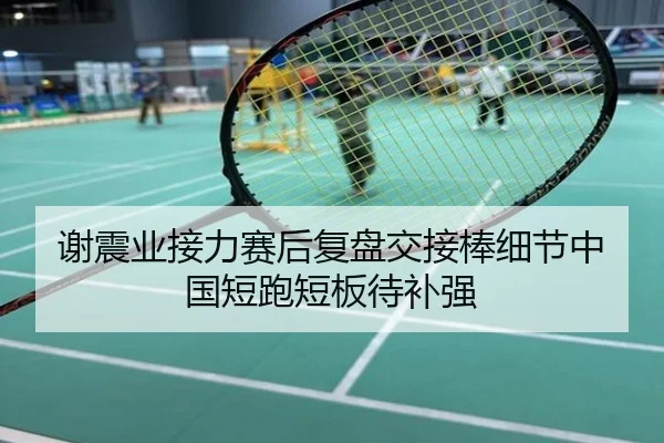 谢震业接力赛后复盘交接棒细节中国短跑短板待补强