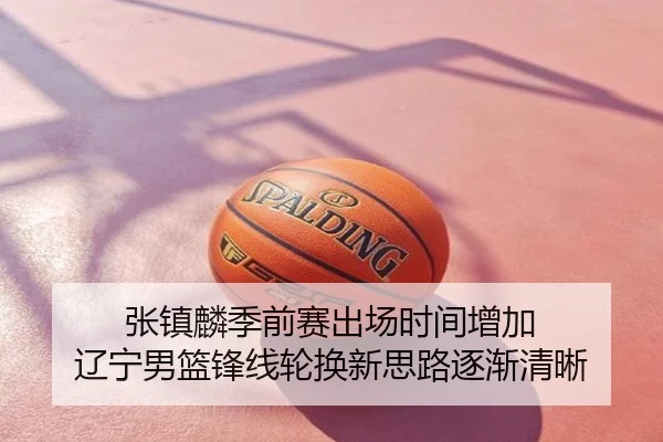 张镇麟季前赛出场时间增加 辽宁男篮锋线轮换新思路逐渐清晰